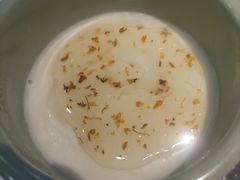 -洞庭家宴·头牌甲鱼(广渠门店)