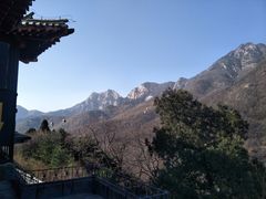 -泰山风景名胜区