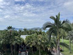 -日落吧·海景咖啡厅·餐酒吧·鸡尾酒·下午茶·乐队表演·浪漫夕阳·三亚文华东方酒店