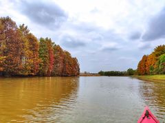 -上海海湾国家森林公园