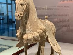 -北京大学赛克勒考古与艺术博物馆