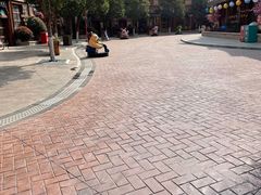 -郑州方特梦幻王国