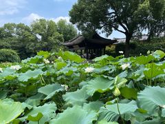 -绍兴鲁迅故里·沈园景区