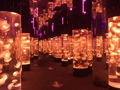 -成都浩海立方海洋公园