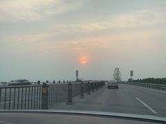 -合肥滨湖国家森林公园