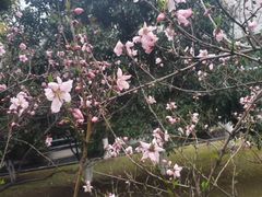 -万达广场(南京建邺店)