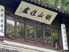 -苏州上方山国家森林公园
