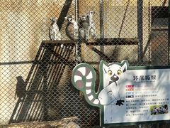 -合肥野生动物园