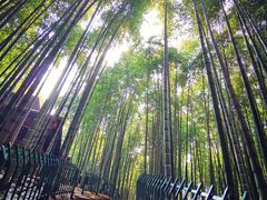 -宝岩生态观光园