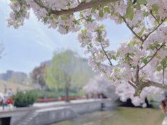 -元大都城垣遗址公园