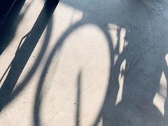 -四川大学(华西校区)