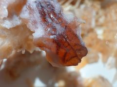 -船家渔(徐州北路店)