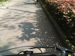 -合肥三国新城遗址公园