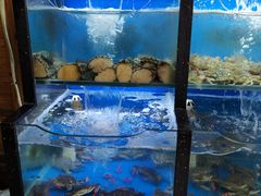 水产区-老东镇啤酒屋海鲜加工·蒸汽海鲜·海鲜烧烤(台东店)