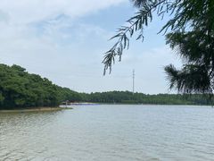 -上海海湾国家森林公园