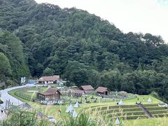 -龙岩森林水乡景区