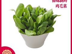 鸡毛菜-傣妹火锅(四川北路店)
