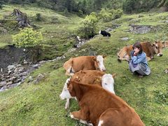 -硗碛藏寨·神木垒景区