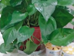 -段氏足疗养生馆(十年老店)