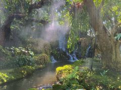 -Chom Cafe and Restaurant