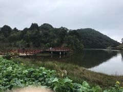 -广州市石门国家森林公园
