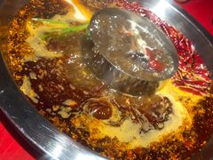 -谭鸭血老火锅(万象九宜城店)