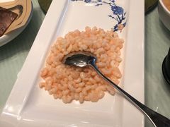 -同济大酒店(绿宝广场店)