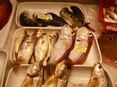 -龙宴海鲜城(经中路店)
