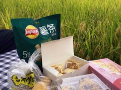 -风云岭森林公园