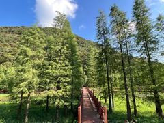 -广州市石门国家森林公园