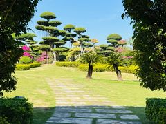 -南宁南湖公园