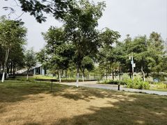 -怡海公园(桂城街道)