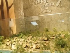 -上海崧泽遗址博物馆