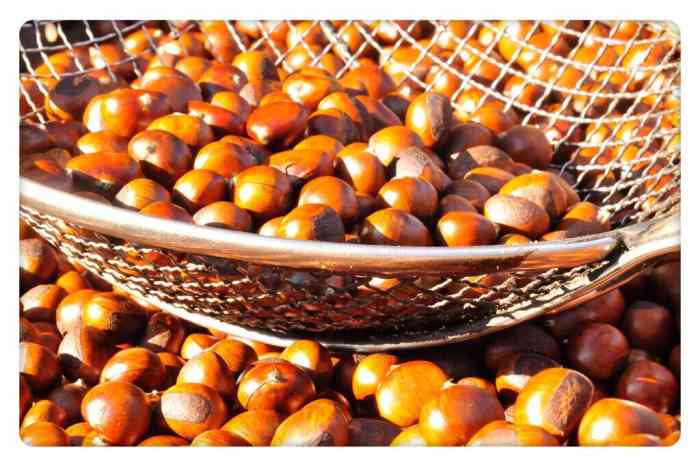 长城板栗(小黑专卖店)-"什么时候开始吃板栗的呢以前在家的时候对.