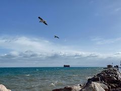 -青海湖国家重点风景名胜区