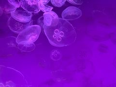 -沈阳海洋探索中心