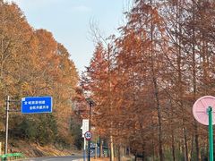 -南京市无想山景区