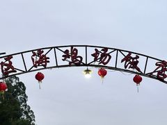 -区海鸡场饭店(石壁店)