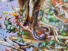 -乐山第一家临江鳝丝(茶坊路店)