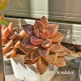 入坑3年 感谢你们的陪伴