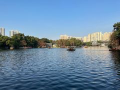 -荔湾湖公园