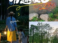 -池杉湖湿地公园