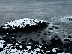 -涉地可支