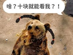 -保定市动物园