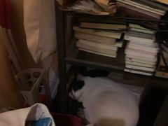 -江湖边·小生活