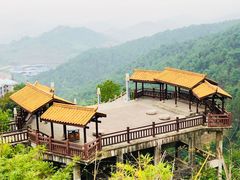 -铁山坪森林公园