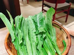 -蘑界·野生菌火锅(深业上城店)