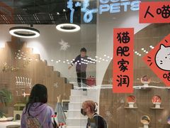 -COLOR PETS 撸猫馆·购猫·猫咖(长风大悦城店)