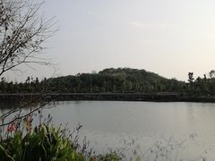 -枫香湖儿童公园