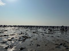 -天津东疆湾沙滩景区